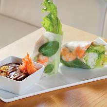 Traditional Goi Cuon Spring Rolls phm0112 ebmc4 md