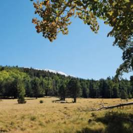 San Francisco Peaks phm0312ge 4 lg