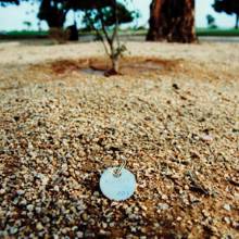 a modest metal tag serves as a grave marker in the cemetery’s green burial area. phm0412 du6 md