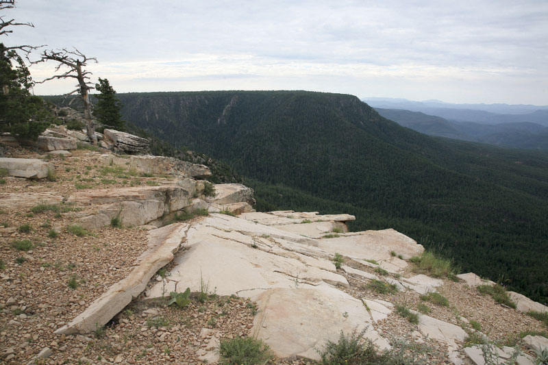 Photo by Brian Goddard  Forest Road 300, the &ldquo;Rim Road&rdquo;