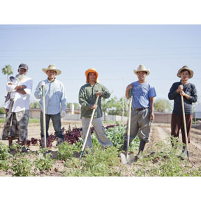Burmese refugees U Pha, Zathawng, Sian Liam Thuangneh, Ling Maung and Phun Kil at a community garden