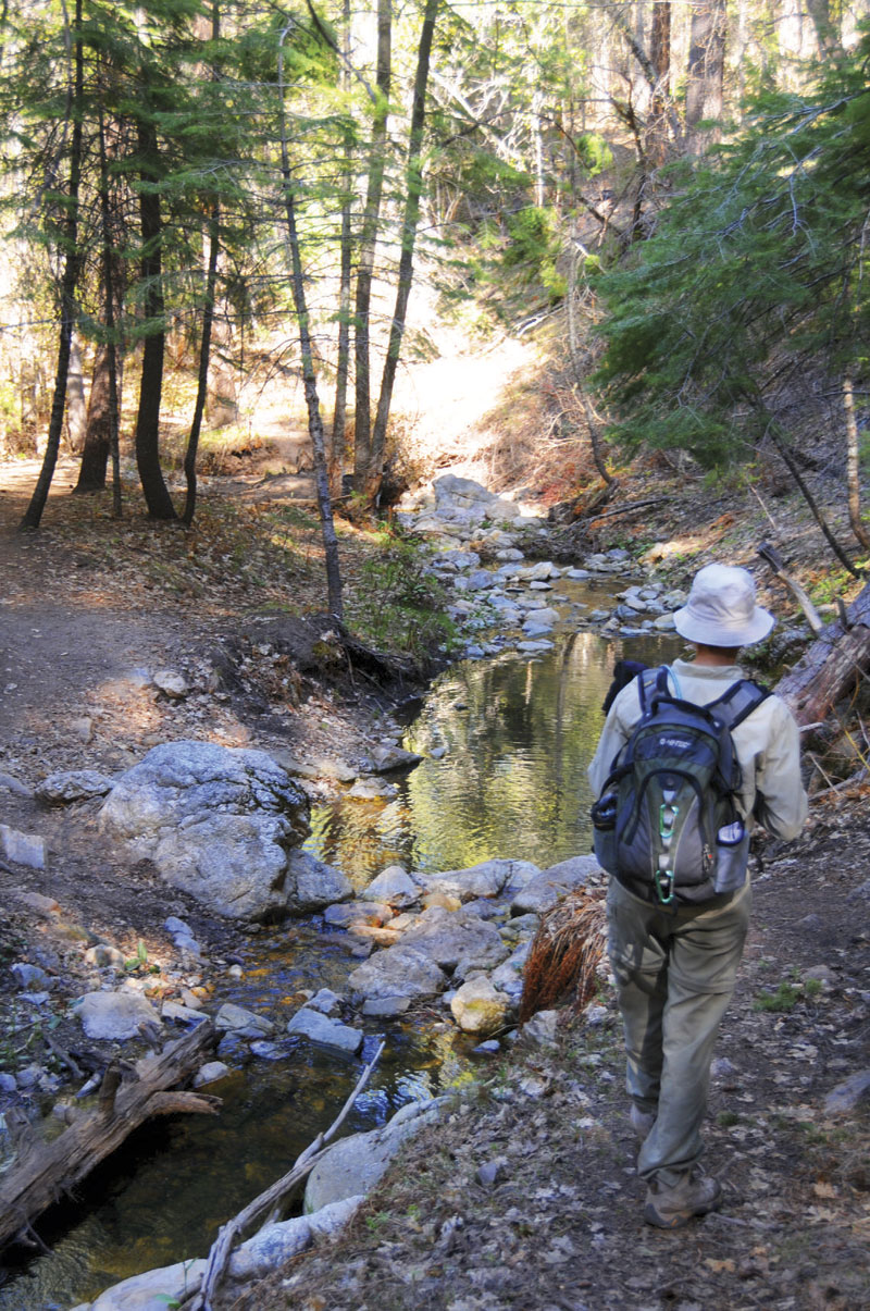 Aspen-Marshall Gulch Loop
