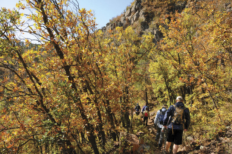 View Point Trail