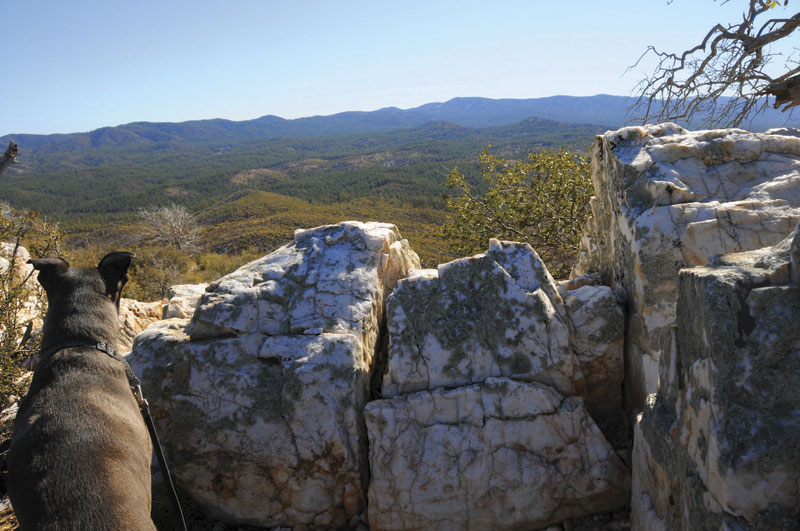 Wolverton Mountain-White Spar Peak