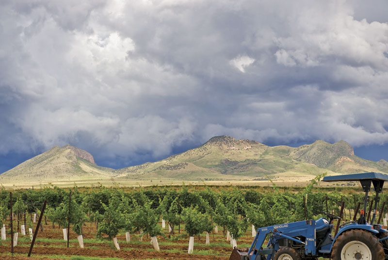 Photo by Abraham Karam; Sonoita in the monsoons