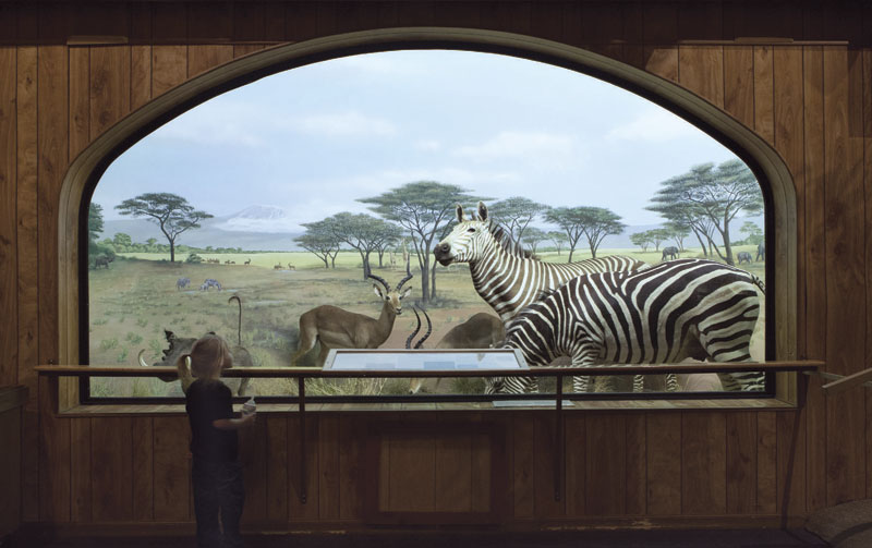 International Wildlife Museum
