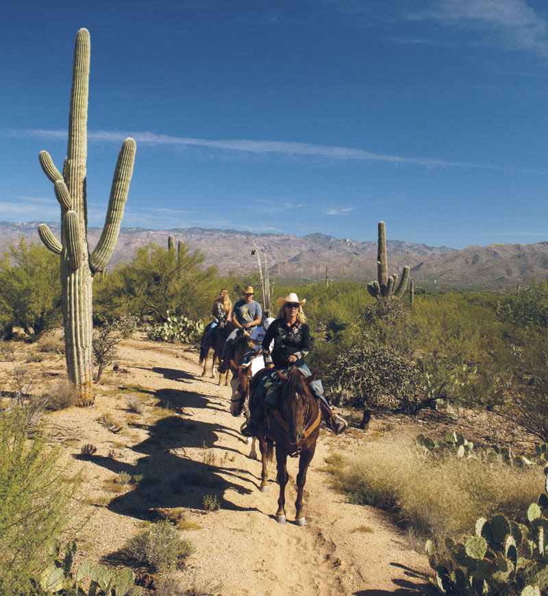 Houston&rsquo;s Horseback Riding