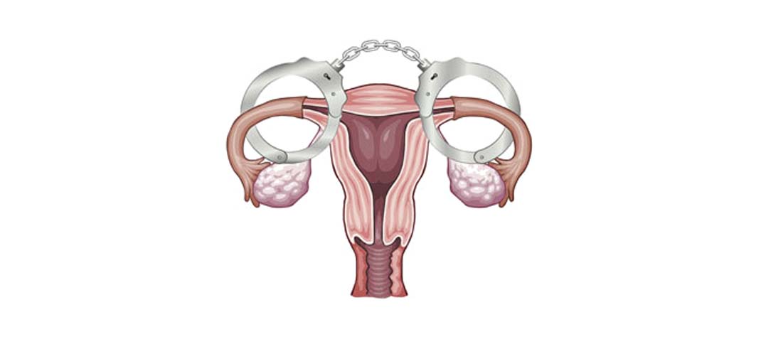 https://www.phoenixmag.com/wp-content/uploads/2012/11/PHM1112_HotTopics1X.jpg