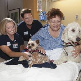 Photo by Michael Woodall Pet Partners Therapy Animal Program phm1112 pets10 lg