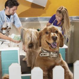 Photo by Michael Woodall Kosmo’s Doghouse phm1112 pets11 lg