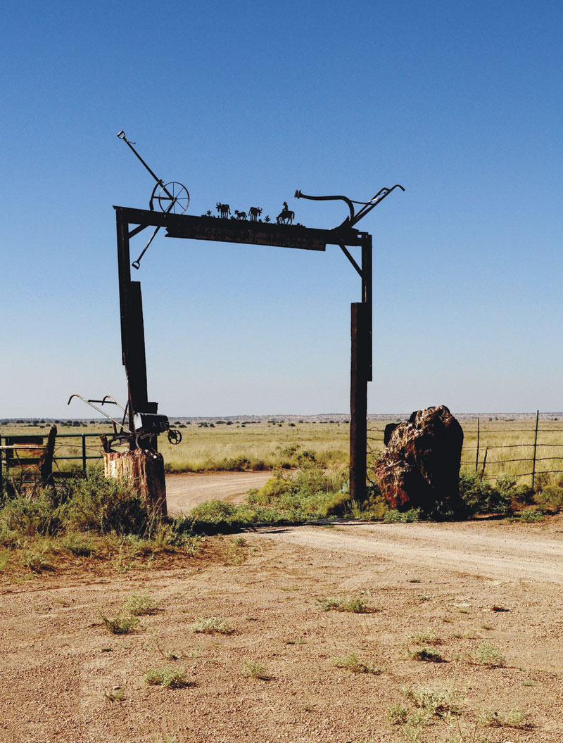 Photos by Nicole Roegner