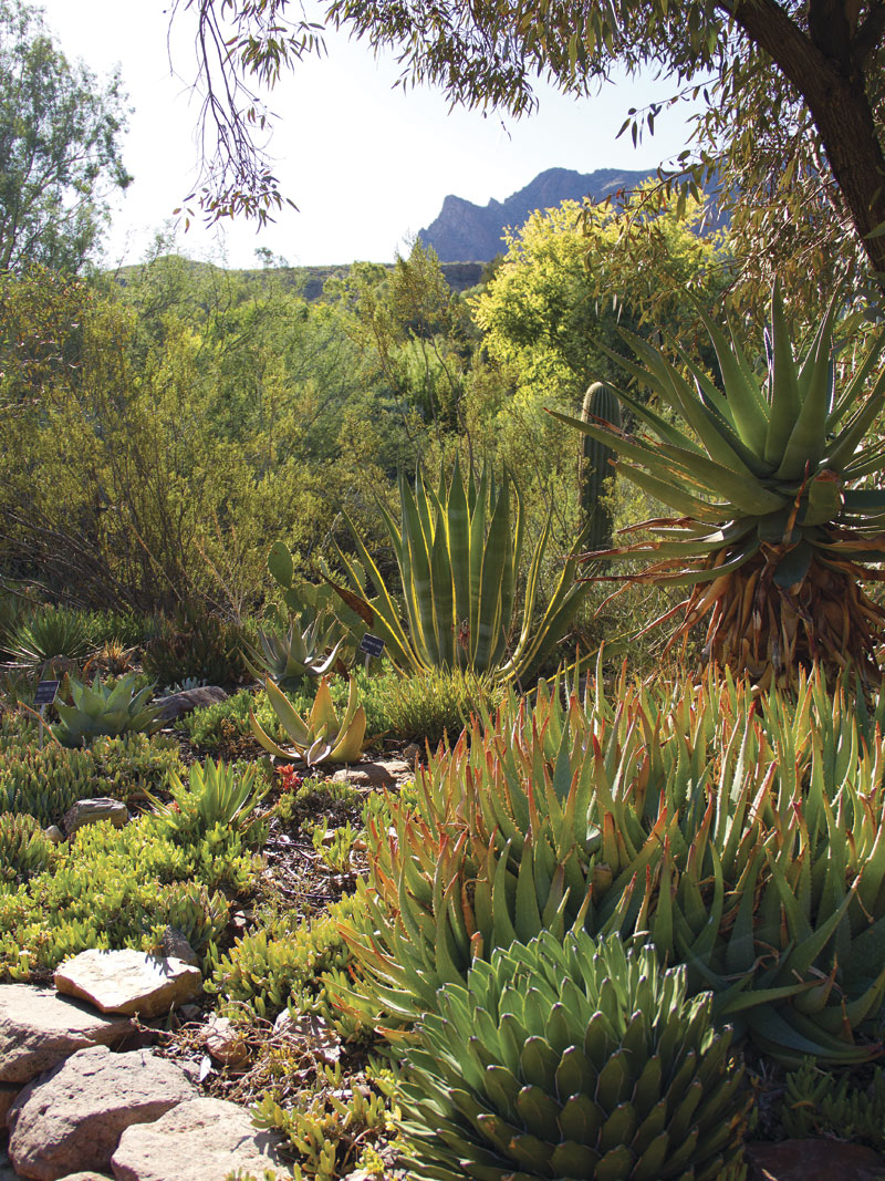 Photo by Tabitha Peterson