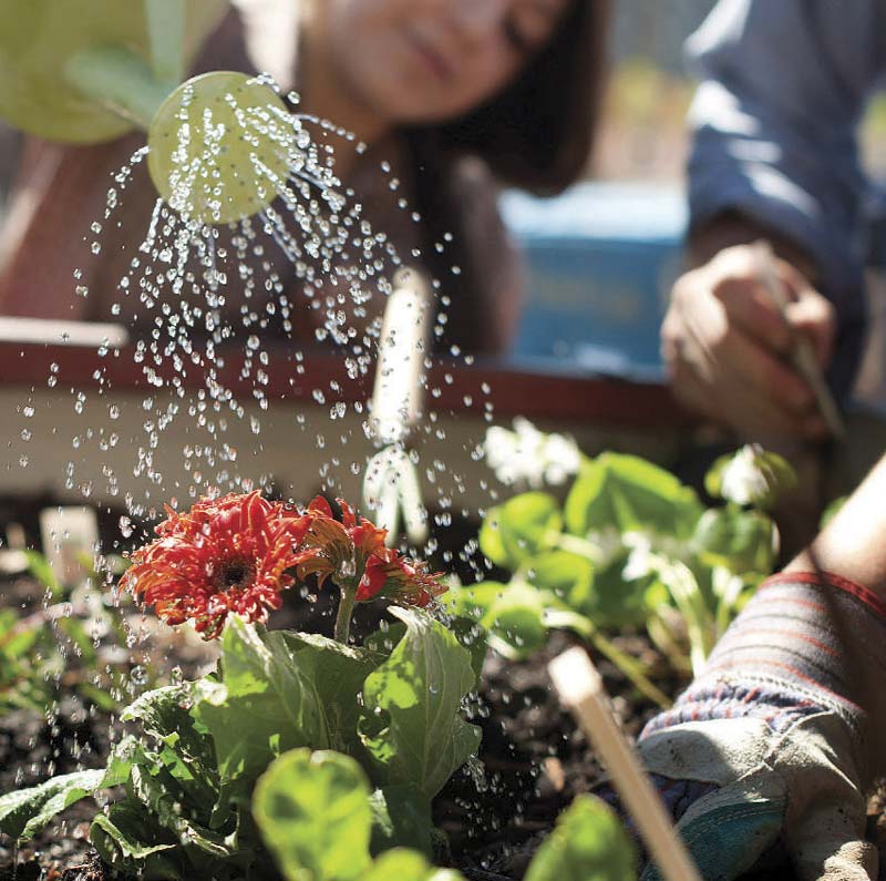UrbanFarms10
