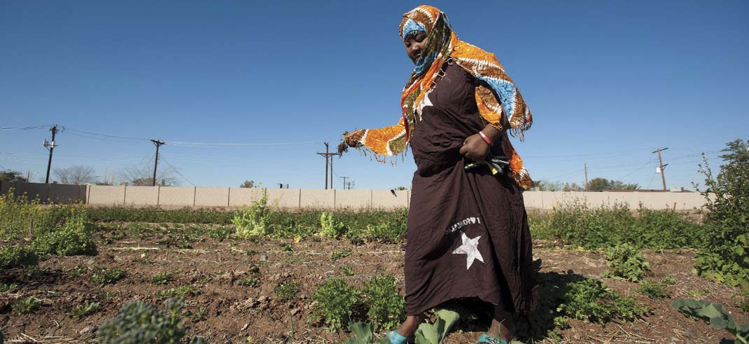 https://www.phoenixmag.com/wp-content/uploads/2013/05/UrbanFarms1X.jpg