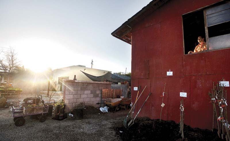 UrbanFarms3