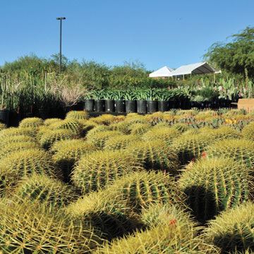https://www.phoenixmag.com/wp-content/uploads/2013/10/PHM1013_PFAH1.jpg