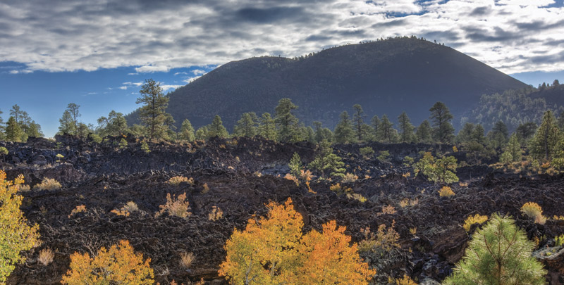 Photos By Paul Gill; Coconino National Forest 