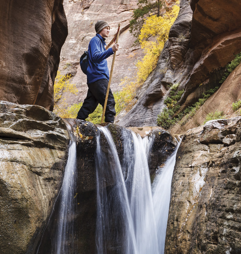 Photos By Jim David; Zion National Park 