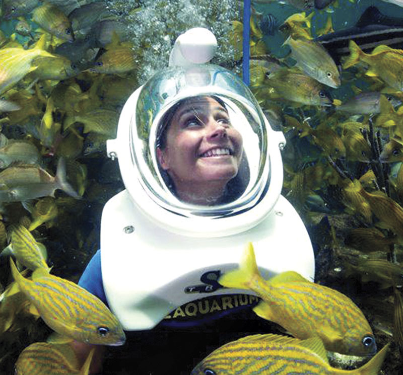 photo courtesy Odysea Aquarium; OdySea Aquarium Sea Trek