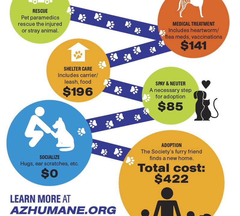 https://www.phoenixmag.com/wp-content/uploads/2015/07/PHM0715PFMM1-800x720.jpg