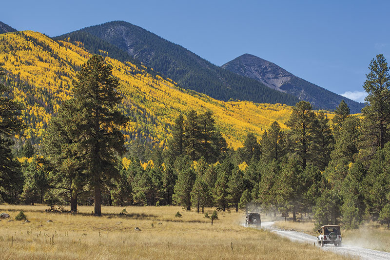 photo by Madison Kirkman; Lockett Meadow Road/ Forest Road 552 PHM0915WH20