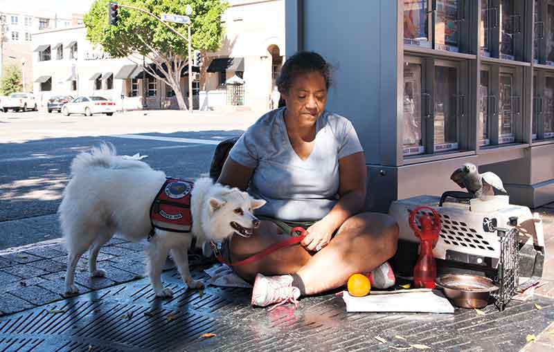 photo by Brian Goddard; Originally from Wisconsin, Cookie spends the day on Mill Avenue with her canine companion.