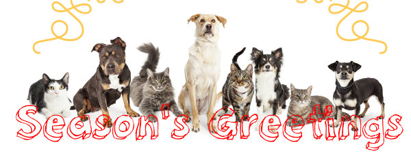 https://www.phoenixmag.com/wp-content/uploads/2015/12/holidaypetsINTEXT.jpg