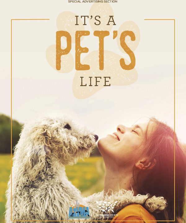 https://www.phoenixmag.com/wp-content/uploads/2016/10/PHM1016_ItsAPetsLifeSAS-600x720.jpg