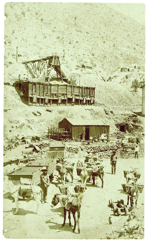 Burros bringing up ore at the Morenci Mine circa 1890. Historical photos provided by Arizona Historical Society