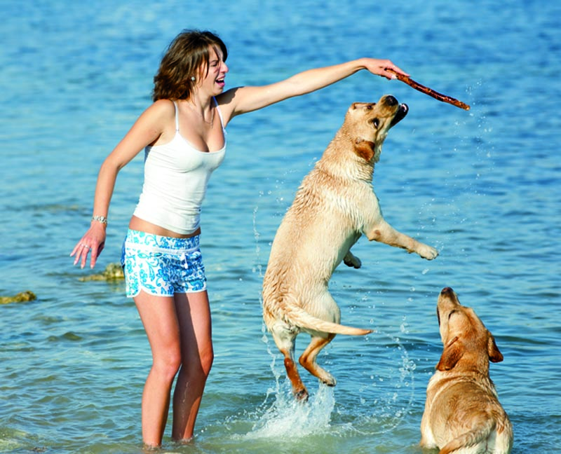 Cosmo Dog Park