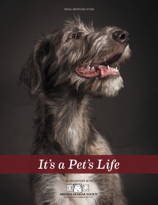 https://www.phoenixmag.com/wp-content/uploads/2017/10/PHM1017SAS-ItsAPetsLife.jpg
