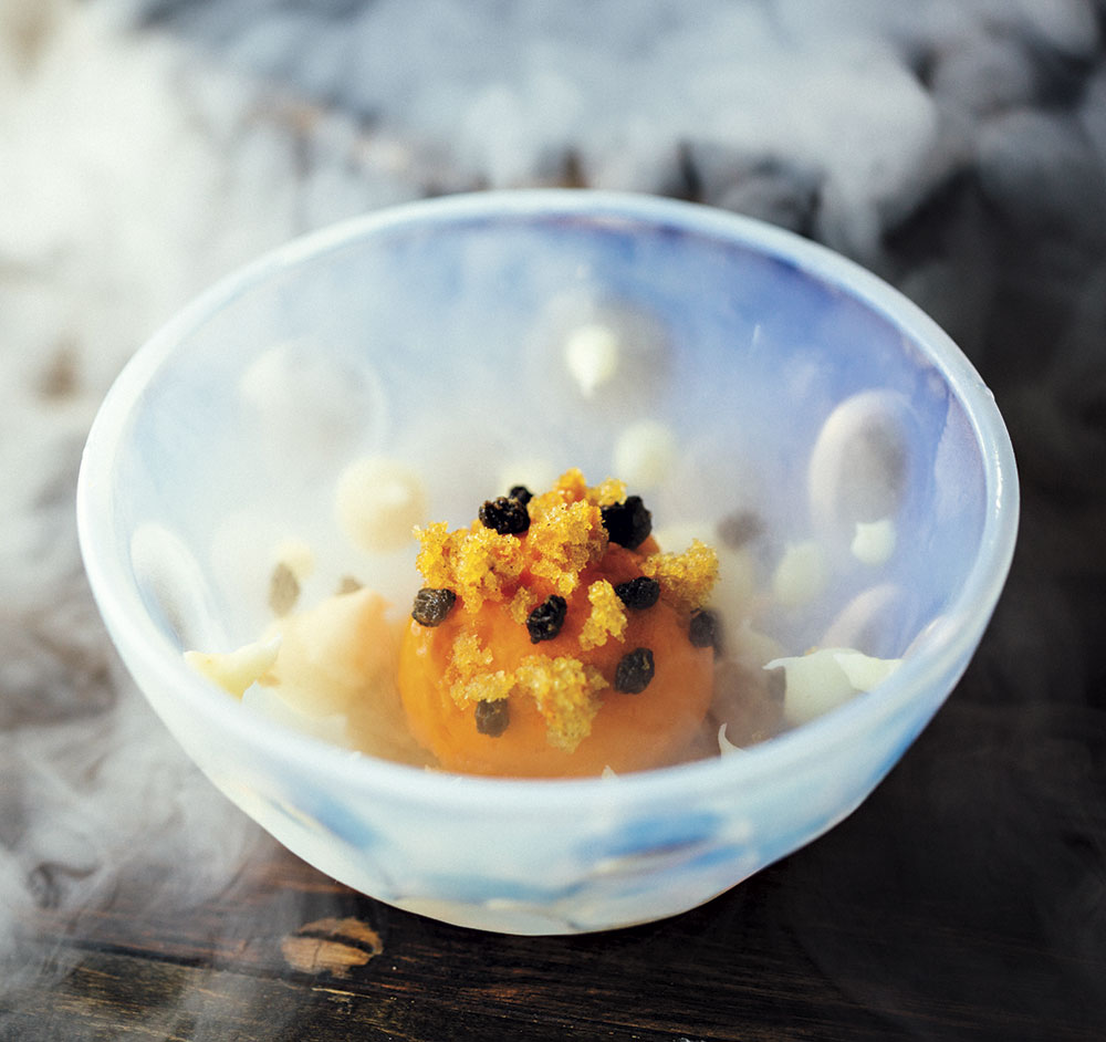 Carrot sorbet