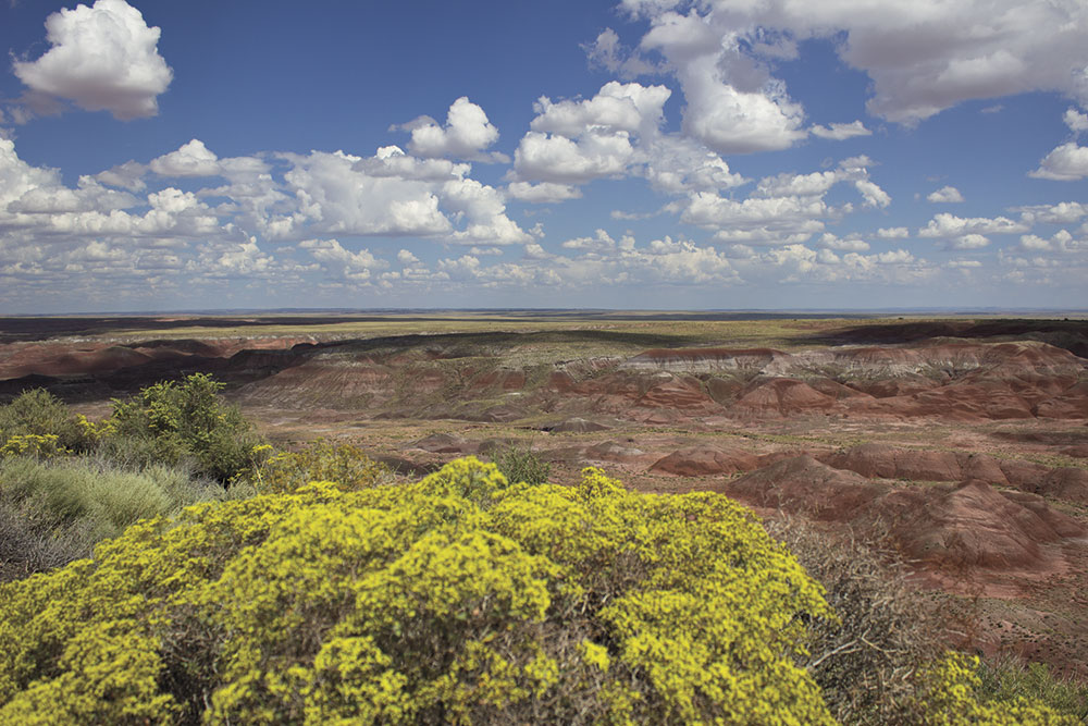 the Painted Desert the Painted Desert