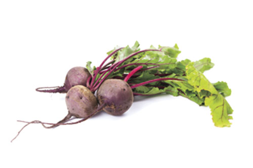 Root-to-Stem cooking