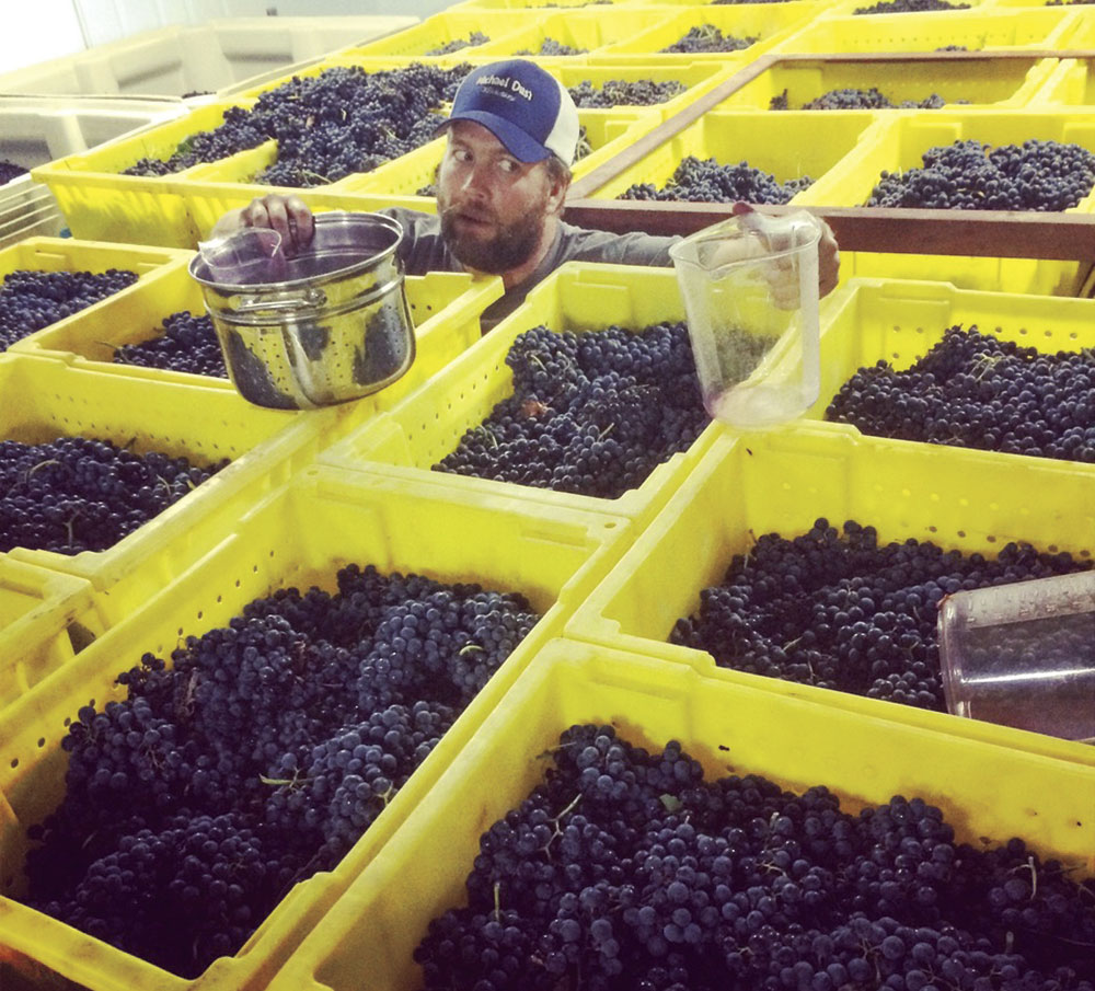 Todd Bostock, Dos Cabezas WineWorks