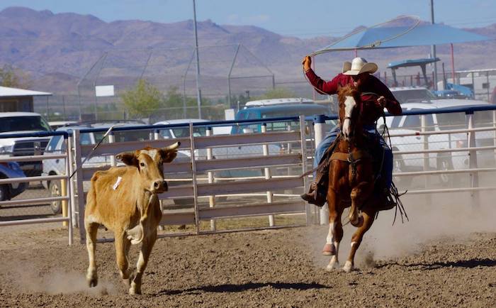 chuckwagon