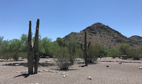 Desert1