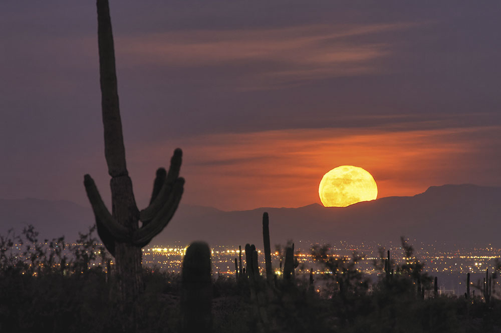 https://www.phoenixmag.com/wp-content/uploads/2018/05/PHM0518TL05.jpg