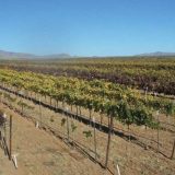 Pav on Juice: Laramita Cellars