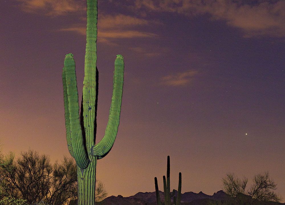 https://www.phoenixmag.com/wp-content/uploads/2018/07/PHM0718PFAP01a-1000x720.jpg