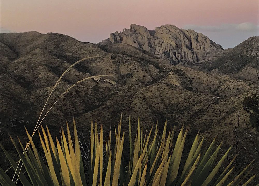 https://www.phoenixmag.com/wp-content/uploads/2018/07/PHM0718TL07-1000x720.jpg