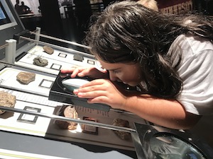 AZ Science Center