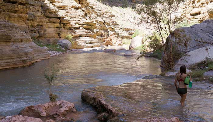 Havasu Canyon01