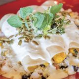 Squash Enchilada