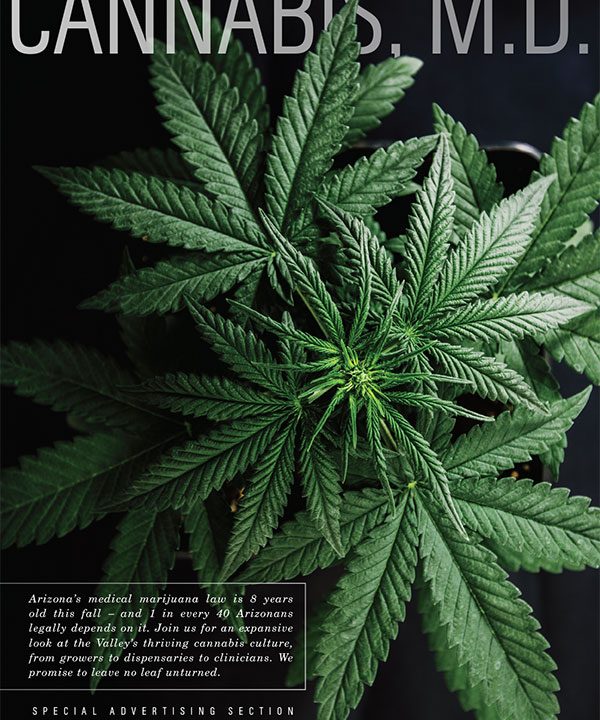 https://www.phoenixmag.com/wp-content/uploads/2018/10/PHM1018SASCannabis-600x720.jpg