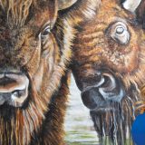 Artist of the Month: Julie Hooker