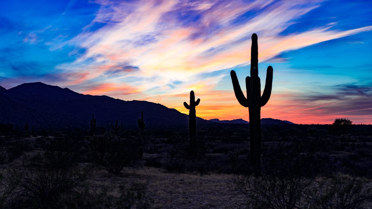 https://www.phoenixmag.com/wp-content/uploads/2019/03/tom-gainor-752224-unsplash-1280x720.jpg