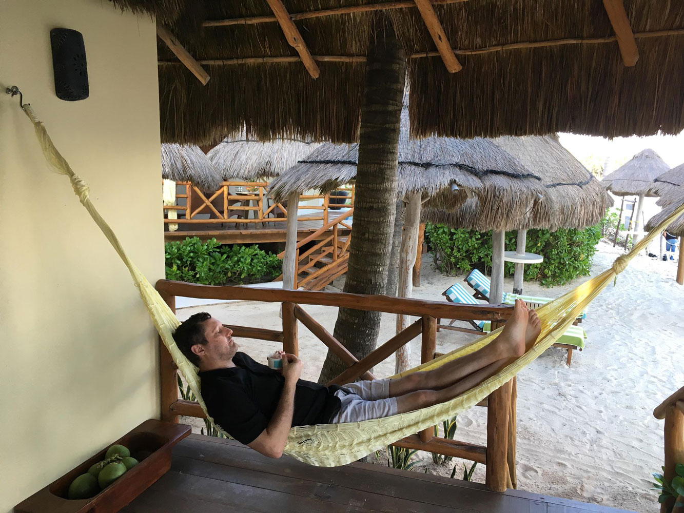palapahammock palapahammock