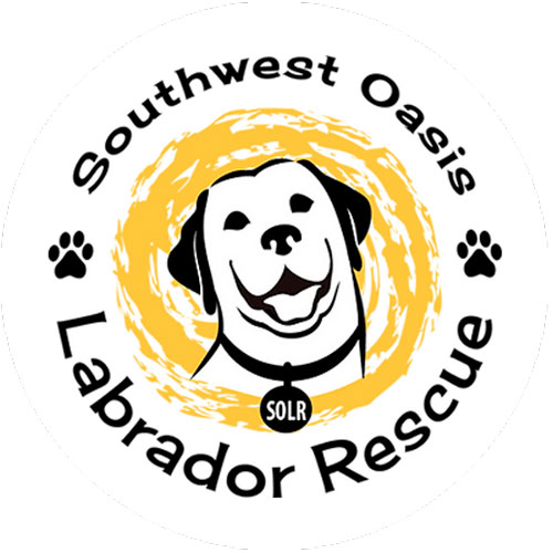 https://www.phoenixmag.com/wp-content/uploads/2019/05/Southwest-Oasis-500x500-1.jpg