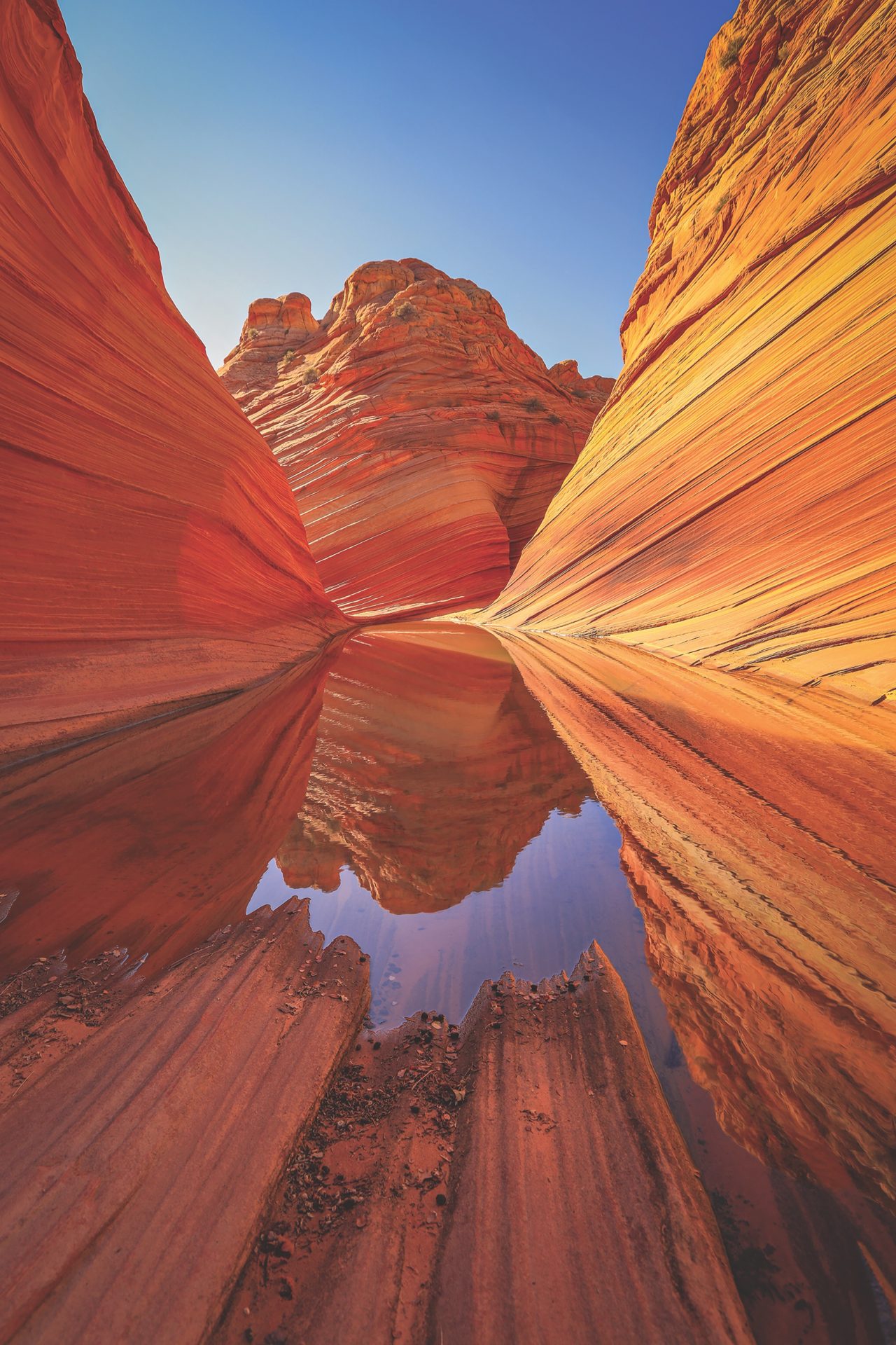 https://www.phoenixmag.com/wp-content/uploads/2019/08/PHM0919EX01-1280x1920.jpg
